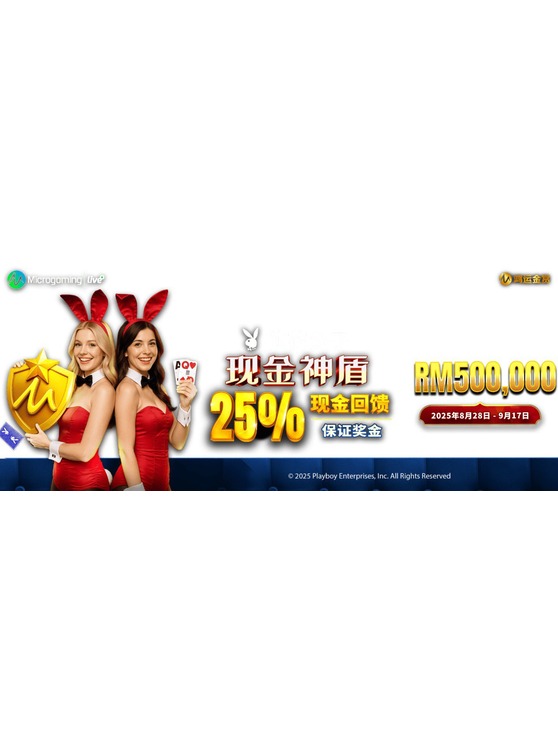 WE World Entertainment Playboy Cash Shield